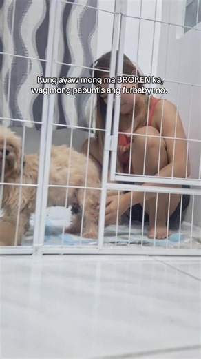 Understanding Dog Pregnancy and Puppy Care