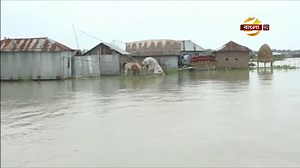 92K views · 427 shares | ২৫০টি গ্রাম এখনো পানিতে নিমজ্জিত | Bangla TV | Facebook