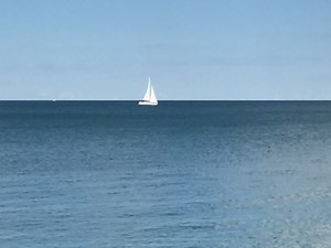 Consolation - Saint Cardinal John Henry Newman Website