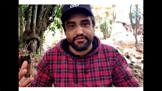 7.6K views · 149 reactions | Homenagem da Casa da Cultura Peter...