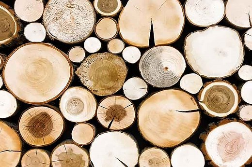 Teak Wood Pros and Cons - Woodworking Trade