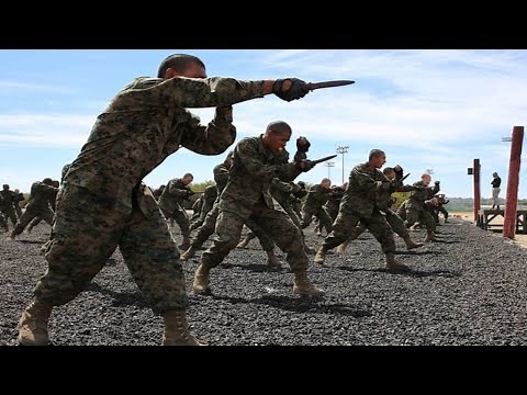 William Fairbairn and his Lethal DEFENDU ‘SAS ROGUE HEROES’