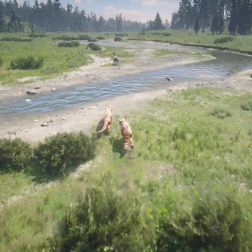 Donkey impossible escape from tigers | Indian Gamer DT