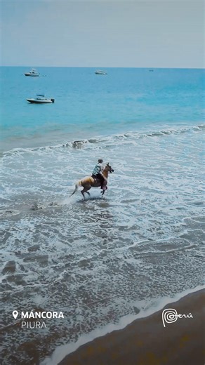 ¡Peru Week llega a Argentina🇦🇷 con toda su magia y sabor! ✨ Desde el 23 de mayo hasta el 9 de junio, te invitamos a sumergirte en la cultura y la belleza de Perú. Descubre las ofertas especiales en vuelos ✈️ y paquetes de viaje a este país, además de promociones irresistibles en restaurantes peruanos en Buenos Aires. 🍽️ Encontrá todas las promociones en www.peruweek.com.ar. ¡No dejes pasar esta oportunidad de vivir un viaje de sabores inolvidables! 🎉 #PeruWeek2024 #VisitaElPerú #ofertas #gas