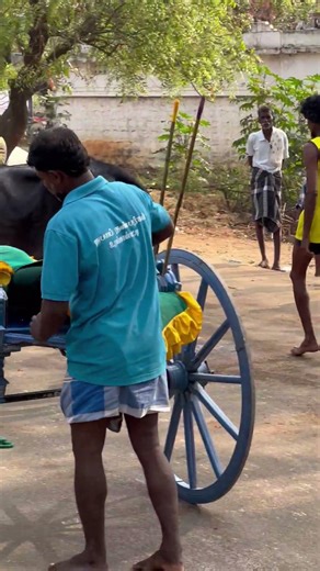 🔥 #trending #trendingvideo #trendingshorts #jallikattu #viral #shortvideo #shorts #madurai