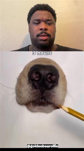 Realistic Dog drawing | Kam Noony