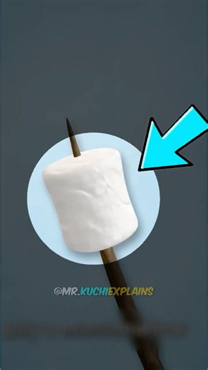 Why Marshmallows Are Called Marshmallows