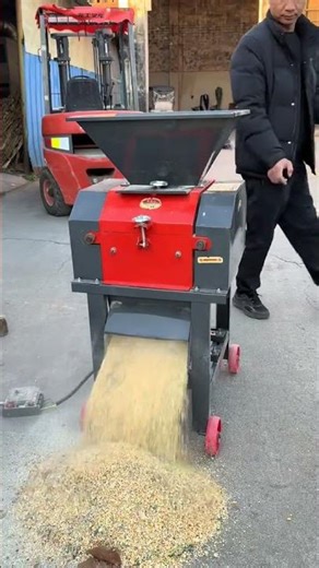 Corn grains crusher: Your versatile machine solution #graindryer #breeding