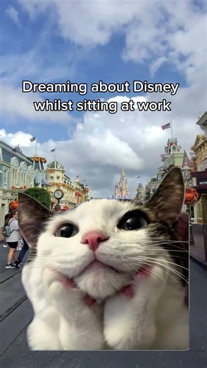 All day every day 🏰🐭🤭🩷