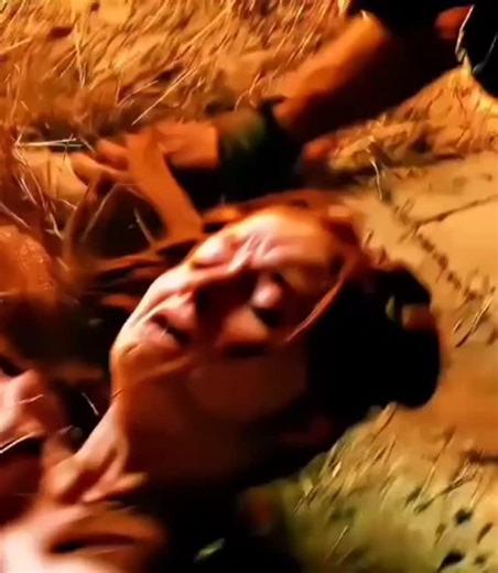 Cineseries91 on Instagram: "Série: Game Off Thrones Sandor Clegane, mais conhecido como "O Cão de Caça" (O Perdigueiro, em algumas traduções), é um dos personagens mais complexos e fascinantes da saga As Crônicas de Gelo e Fogo de George R.R. Martin e da série de TV Game of Thrones. Ele é um guerreiro massivo e cínico, famoso por seu elmo em forma de cabeça de cão rosnando e, principalmente, pela horrível cicatriz de queimadura em metade de seu rosto, que ele recebeu na infância de seu irmão mai