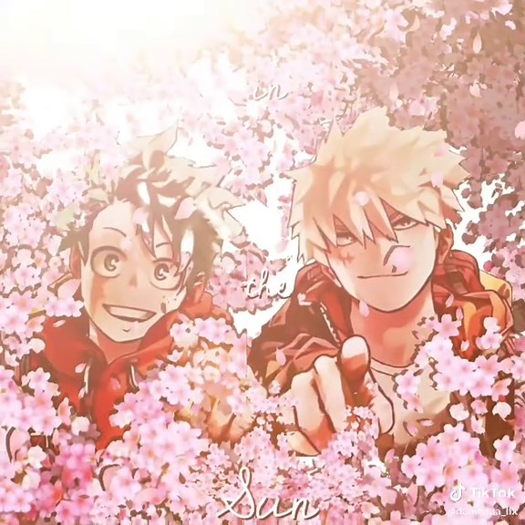 My Hero Academia Finale: What to Expect