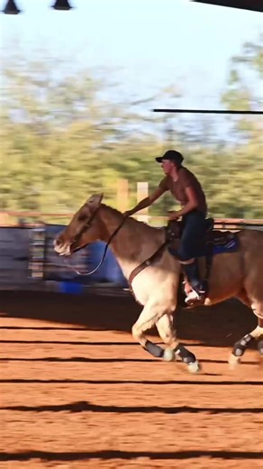 Figuring It Out with Prim and KLM Media