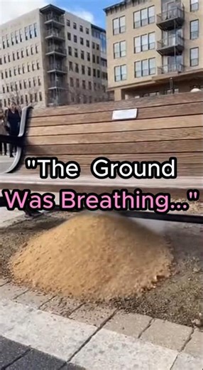 “The Ground Was Breathing… Then It Suddenly Collapsed”