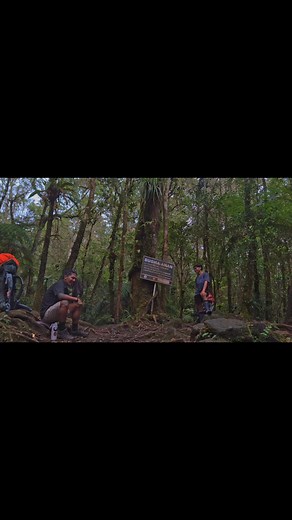 42 reactions · 3 comments | the walking kitchen ngani no? ✌ | Boogie Shiit Part II | Facebook