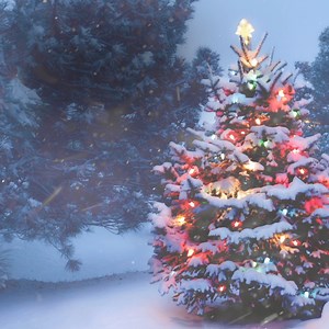 9.7K views · 450 reactions | The magic of the holidays never ends.  | SiriusXM | Facebook