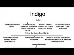 Mind map of Indigo class 12