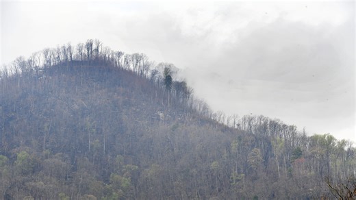 South Carolina wildfire updates: What to know about evacuations, roads, state park closures