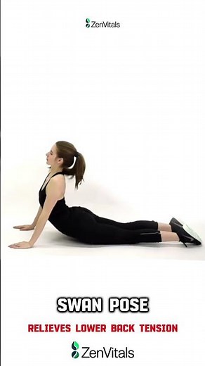 Swan Pose (Yoga Stretch) | Step-by-Step Guide for Flexibility & Strength #SwanPose #YogaStretch