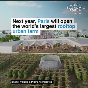 895K views · 13K reactions | Change starts from the top.  Read more: https://wef.ch/30Od9QM | World Economic Forum | Facebook