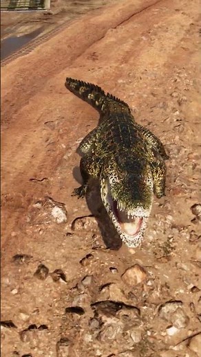 Crocodile Attack Far Cry 6 4K 60 FPS Ultra Settings - Full Video On This Channel #farcry6