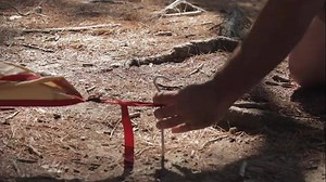 Introducing Starkey Hearing Technologies' brand new "Made for Life" products Muse and Halo 2. Also included in this new release is the newly wireless invisible-fit hearing aid SoundLens Synergy and our solution for patients with single-sided hearing loss Muse CROS and BiCROS systems. Learn more about Muse here: http://bit.ly/1LulMXE Learn more about Halo 2 here: http://bit.ly/1RjLyKM Learn more about SoundLens Synergy here: http://bit.ly/21Ab1dy | Starkey Hearing