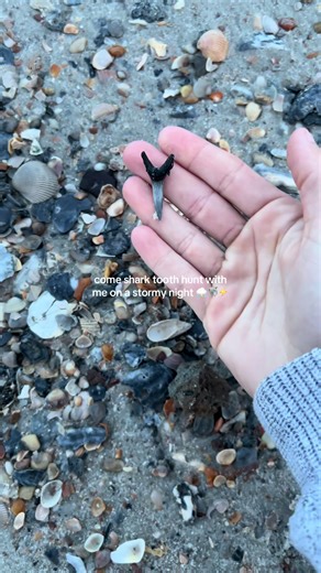 rachel.daye on TikTok