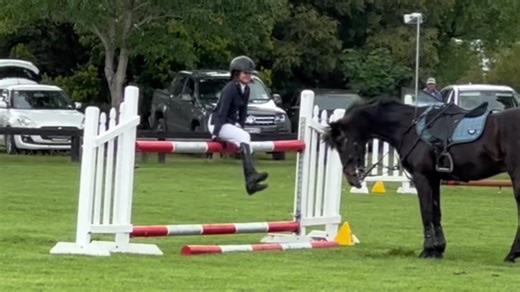 Equestrian Fail: A Humorous Mishap Caught on Camera