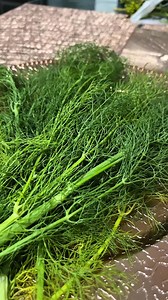 352K views · 5K reactions | Para los malestares de la menopausia #BienestarNatural #consejos #Recomendación #recetassaludables | Mary salud y vida | Facebook