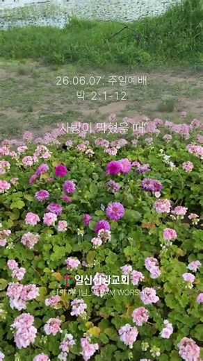 일산신광교회 주일예배 안내 26.06.07 #주일 #주일설교 #주일예배#일산신광교회 #류덕호목사