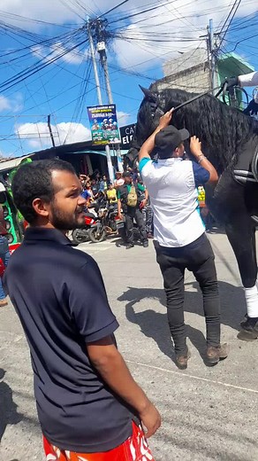 Street Parade Highlights: Tradition and Community