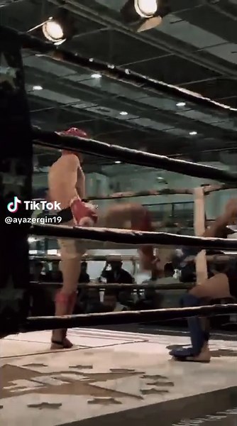 Professional Kickboxing Techniques Revealed