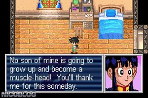 Dragon Ball Z The Legacy Of Goku 2 Usa Rom