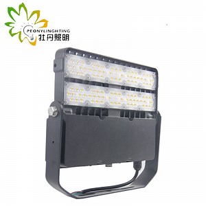 [Hot Item] High Photosynthetic Efficiency 100W LED Flood Light with 140-150lm/W SMD Floodlight