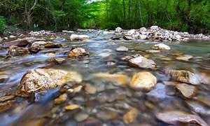 What's the Difference: River vs. Creek Explained