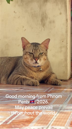 វីដេអូ​របស់ Ping Ping (@2023ping) ជាមួយ original sound - Ping Ping