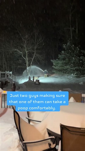 #germanshepherd #fyp #poop #bro #dog | German Shepherd Dog