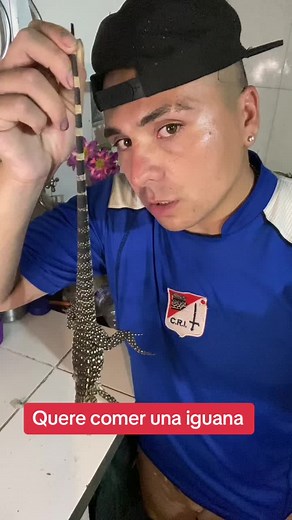 Cómo preparar una iguana deliciosa paso a paso