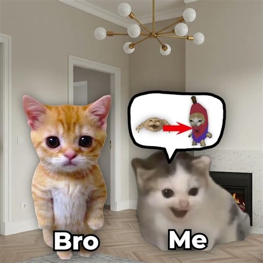 How I Imagine a Spider Bite