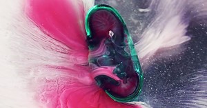 Dissolving Pills Aren’t Just Beautiful. They’re Science as Hell