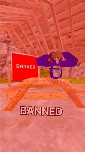 How Long Are You BANNED For? 😨 #gorillatag #gorillatagquest #recommended #gtag
