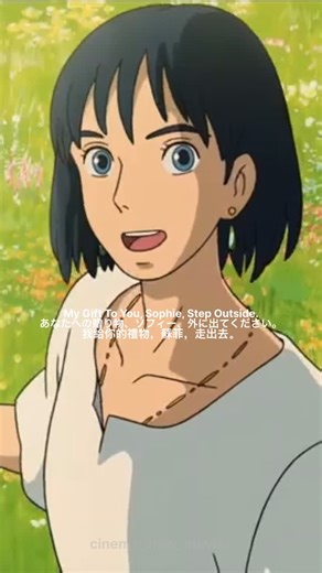 Cinema View Movies on Instagram: "Howl’s Moving Castle (original Japanese title: “Hauru no Ugoku Shiro”) is a 2004 Japanese animated film, directed by the renowned Hayao Miyazaki and produced by Studio Ghibli. History The story follows Sophie, an 18-year-old girl who works in a hat shop. One day, while walking through town, Sophie encounters a wizard named Howl, who takes her to an animated castle that roams the sky. However, Sophie is cursed by a witch, who turns her into a 90-year-old woman. C