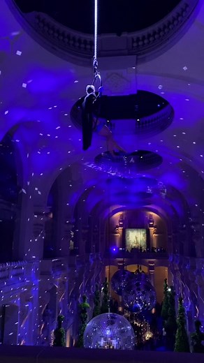 That time I got to be art lowered into the Louvre! #burlesque #paris #art @🐝