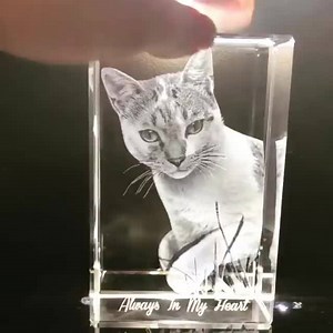 36K reactions · 18K shares | Use any photo The PERFECT Gift Limited-time up to 30% OFF ⭐Free Shipping!⭐ We will remove background and transform your image in 3D. Only one side of a crystal follows you and the other side is not. Website: https://artpix3d.com ⭐Over 3500 5-star reviews on TrustPilot⭐ Link: https://artpix3d.com/reviews | ArtPix 3D | Facebook