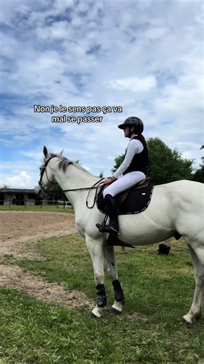 #prt #cheval