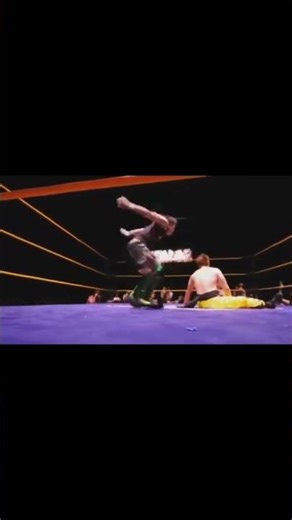 Wrestler of the Day: Ho Ho Lun