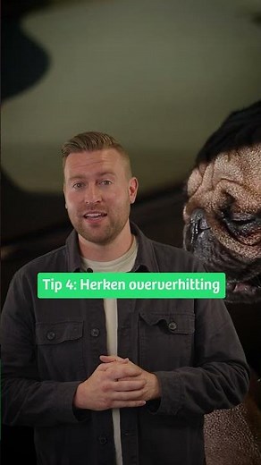 Verzekeringsadviseur Rory: 6 tips voor huisdieren in de hitte | Univé