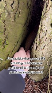 Vote for your favorite cache outing location with the matching emoji!! Nature ⛰️ City 🏙️ Video: A geocacher stands in a natural setting in front of a tree. The camera points toward the sky and the top of the tree and then slowly moves to the bottom of the tree. The video focuses on a stick between the roots of the tree. They reach for the stick, remove it, and show it to the camera. At the end of the stick is a hollowed spot where a geocache is inserted. #geocaching #geocache #washington #unite