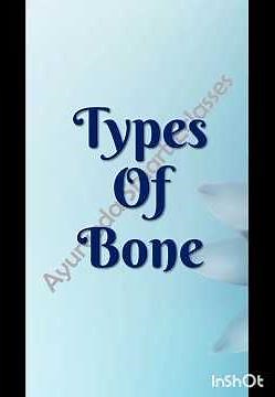 Learn the 5 types of bones in the easiest way ever! Fun Cartoon Mnemonic for Students