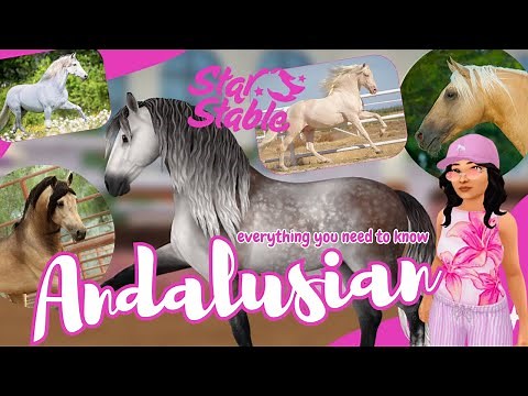 everything to know about Star Stable's NEW Andalusian!