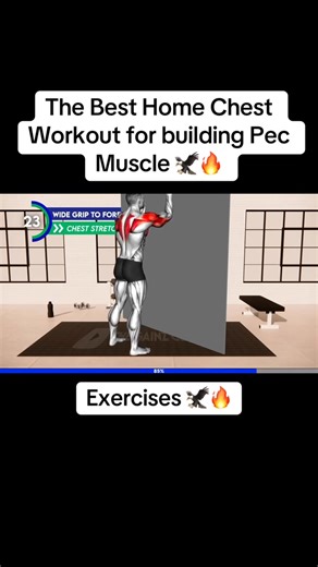 The Best Home Chest Workout for building Pec Muscle 🦅 #workout #pec #chest #chestworkout #athomeworkouts #muscle #buildings | Banksy